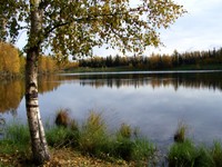 Highlight for Album: Taku Lake