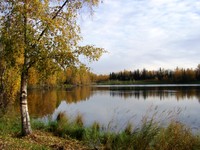 Taku Lake, Anchorage Alaska